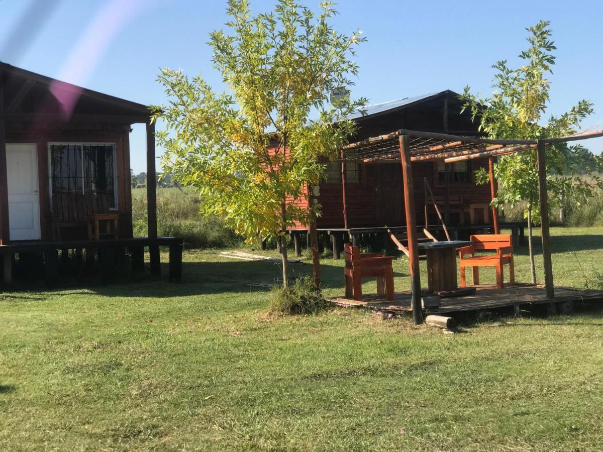Campo Verde Concordia Exteriör bild
